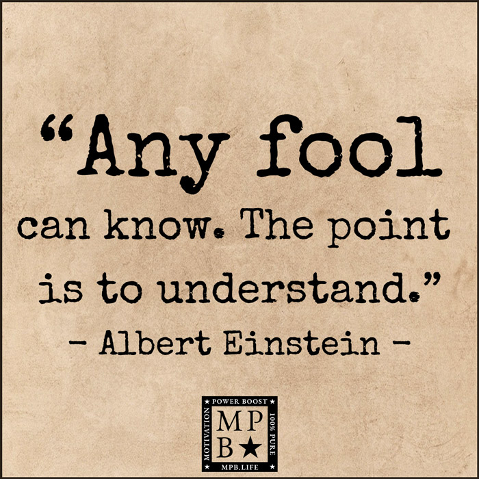 Any Fool Can Know - The Point Is To Understand