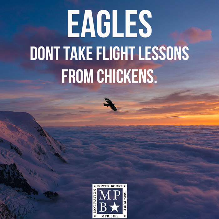 Eagles Dont Take Flight Lessons From Chickens