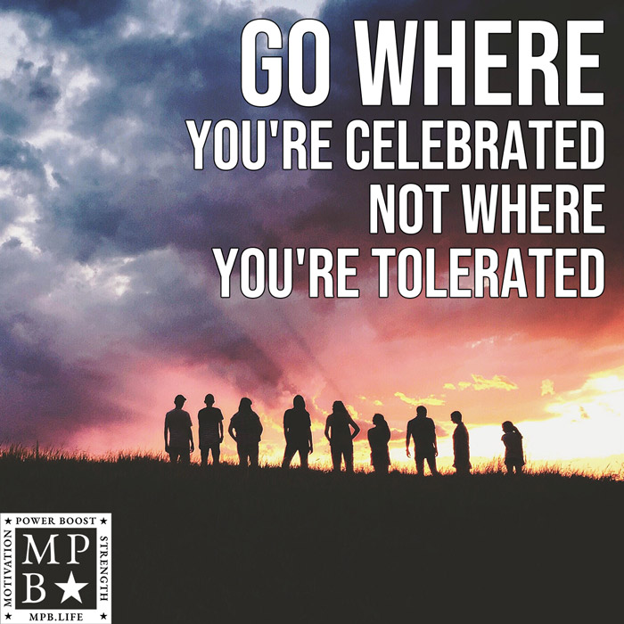 Go Where You're Celebrated Not Where You're Tolerated