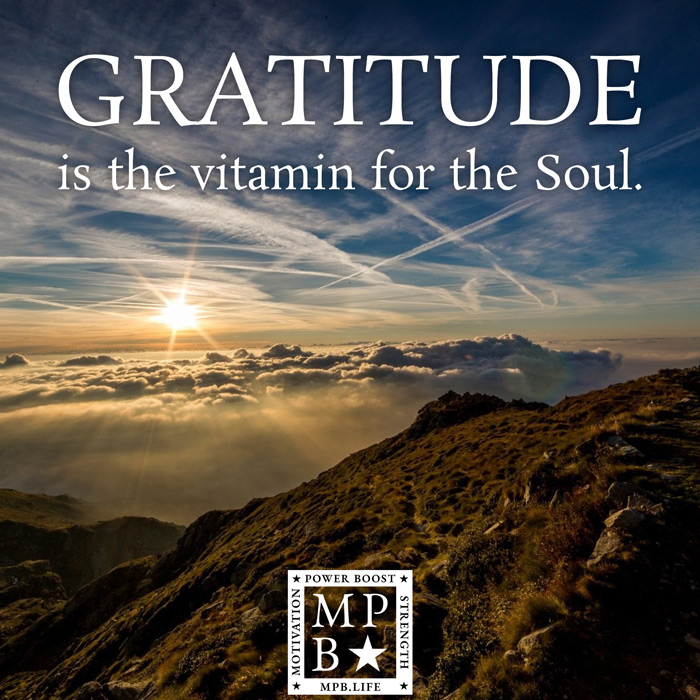 Gratitude Is The Vitamin For The Soul