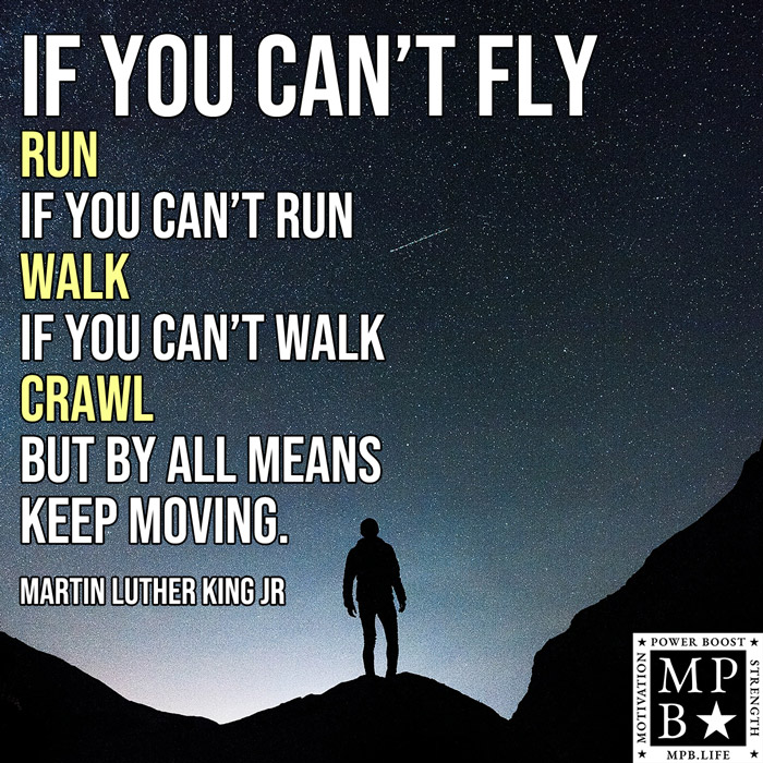 If You Can’t Fly Run, If You Can’t Run Walk, If You Can’t Walk Crawl