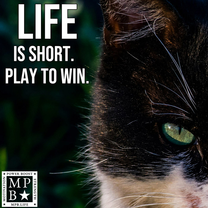 Life Is Short, Play To Win