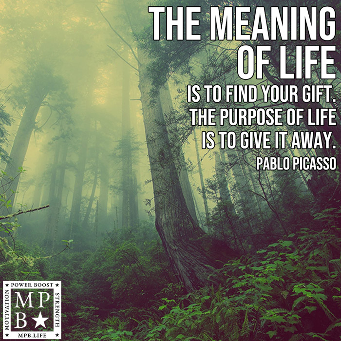 The Meaning Of Life Is To Find Your Gift