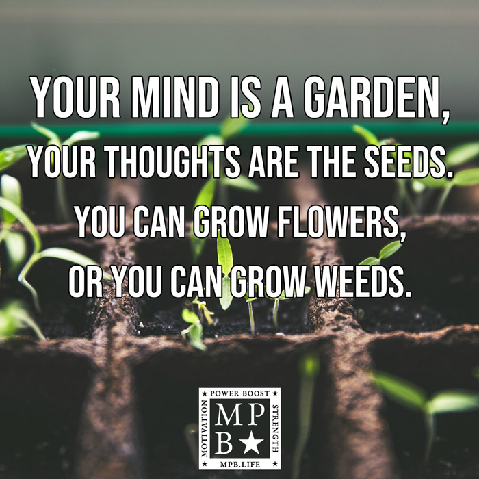 Your Mind Is A Garden