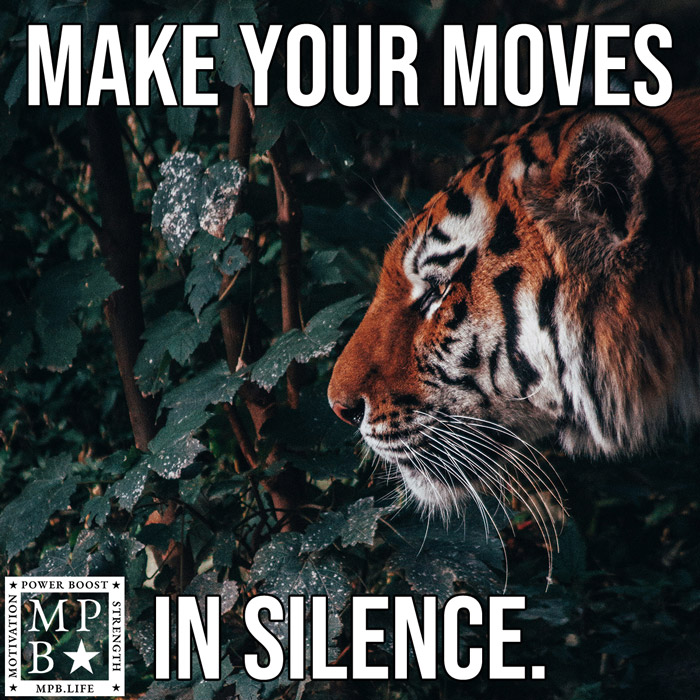 Make Your Moves In Silence