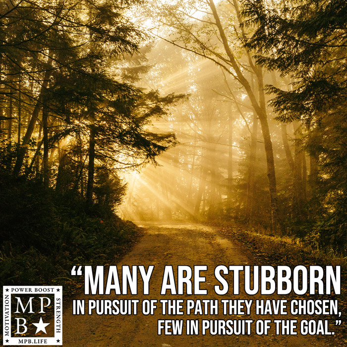 Many Are Stubborn In Pursuit Of The Path They Have Chosen