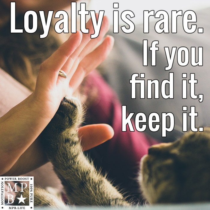 Loyalty Is Rare. If You Find It, Keep It