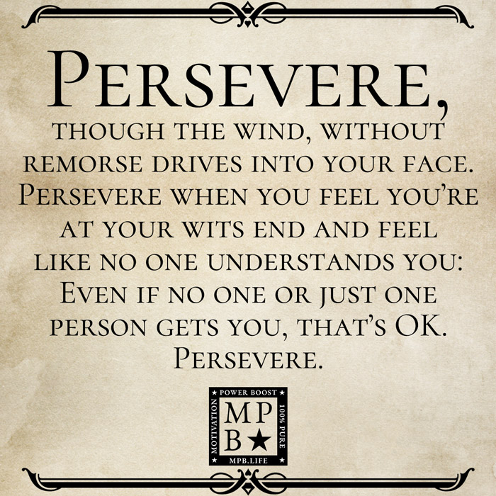 Persevere, Though The Wind, Without Remorse Drives Into Your Face