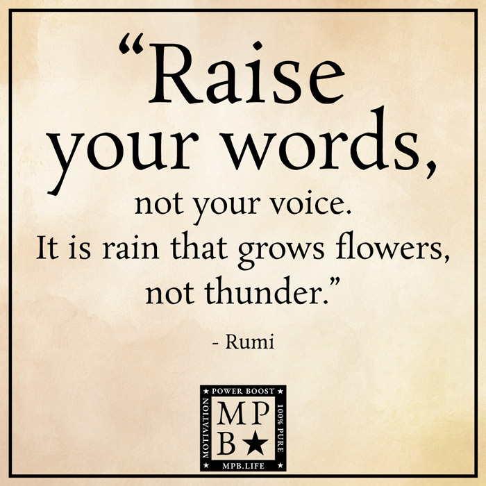 Raise Your Words Not Your Voice