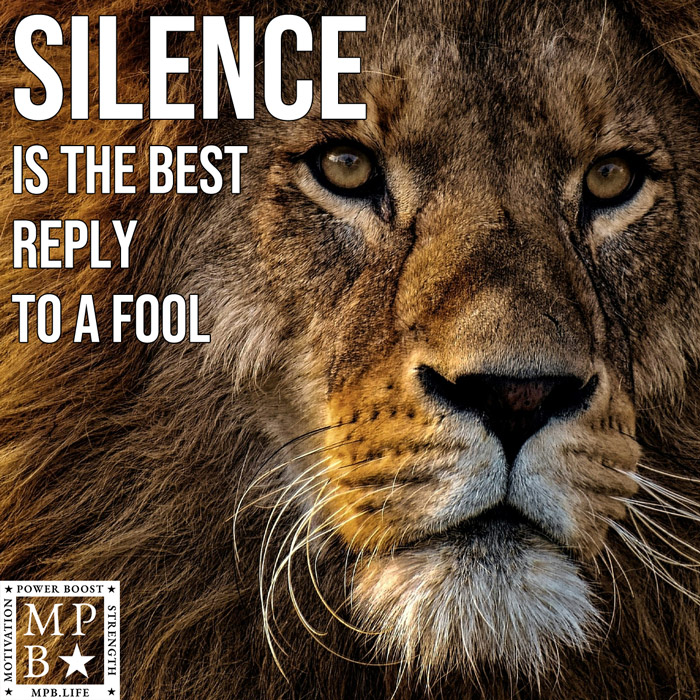 Silence Is The Best Reply To A Fool