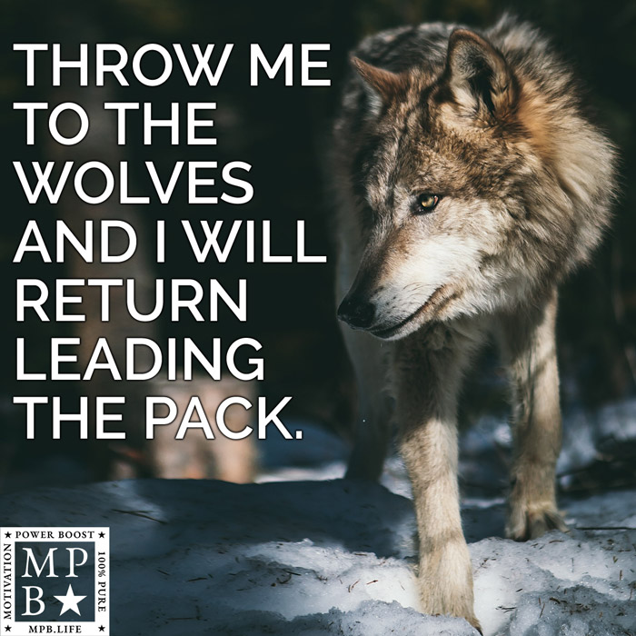 Throw Me To The Wolves And I Will Return Leading The Pack