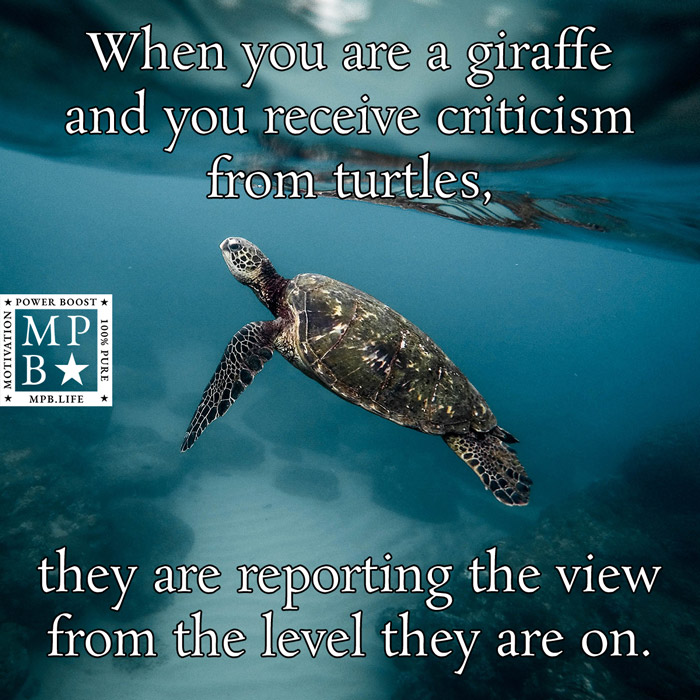 When You Are A Giraffe And You Receive Criticism From Turtles